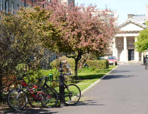 Trinity College blossoms in spring